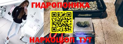 a pvp Кинель