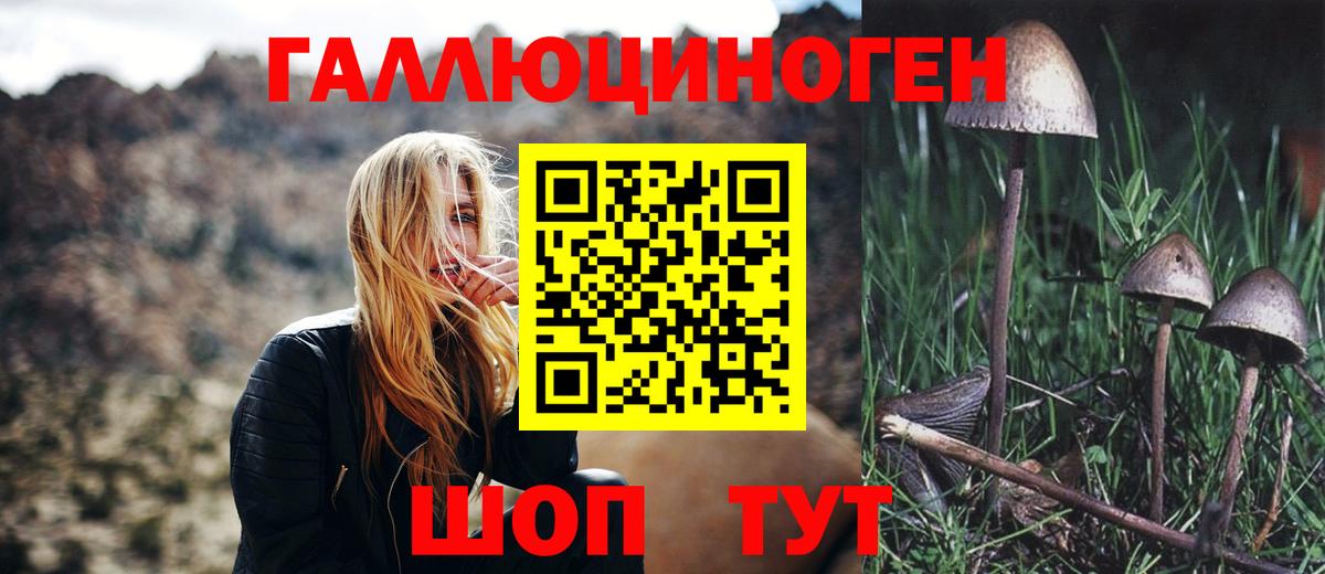 Псилоцибиновые грибы MAGIC MUSHROOMS Чебоксары